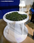 Moss Table